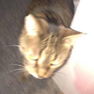 Meet your Posher, Trinity